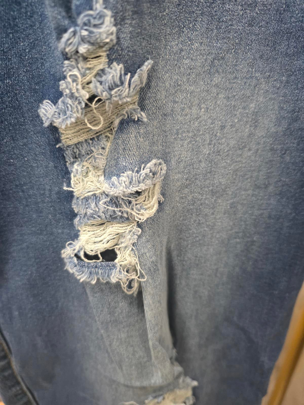 Blue Turtle Plus Jeans