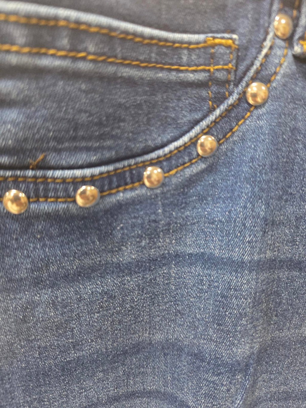 Blue Turtle Plus Jeans