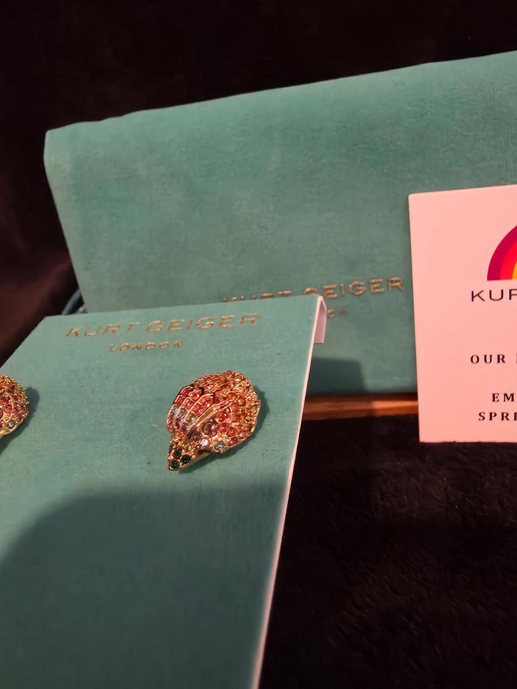 Kurt Geiger Earrings