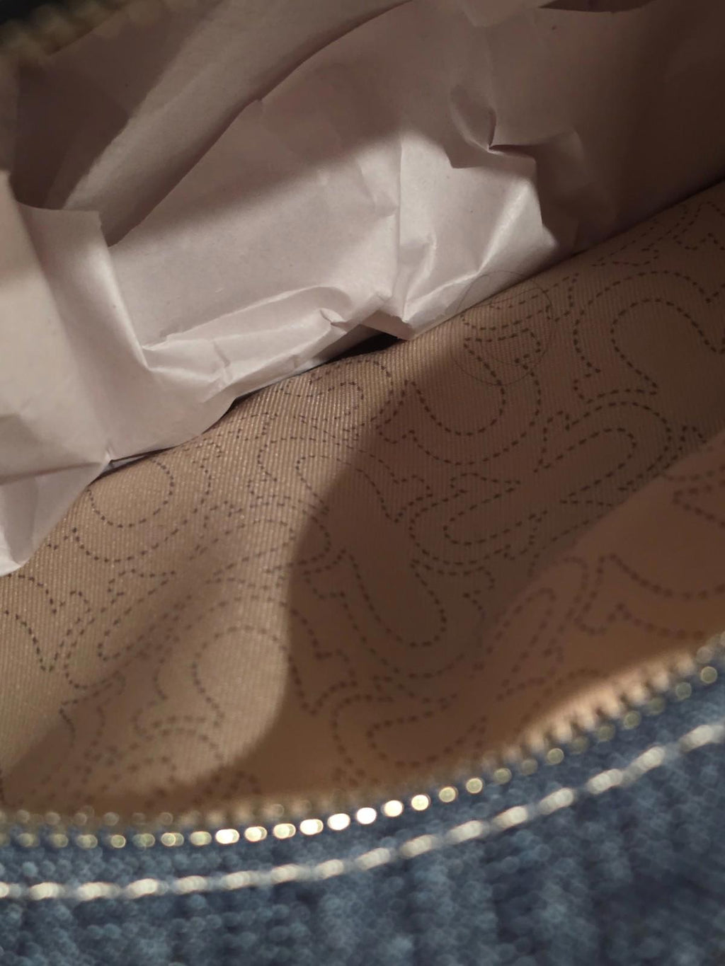 True Religion Denim Viral Bag