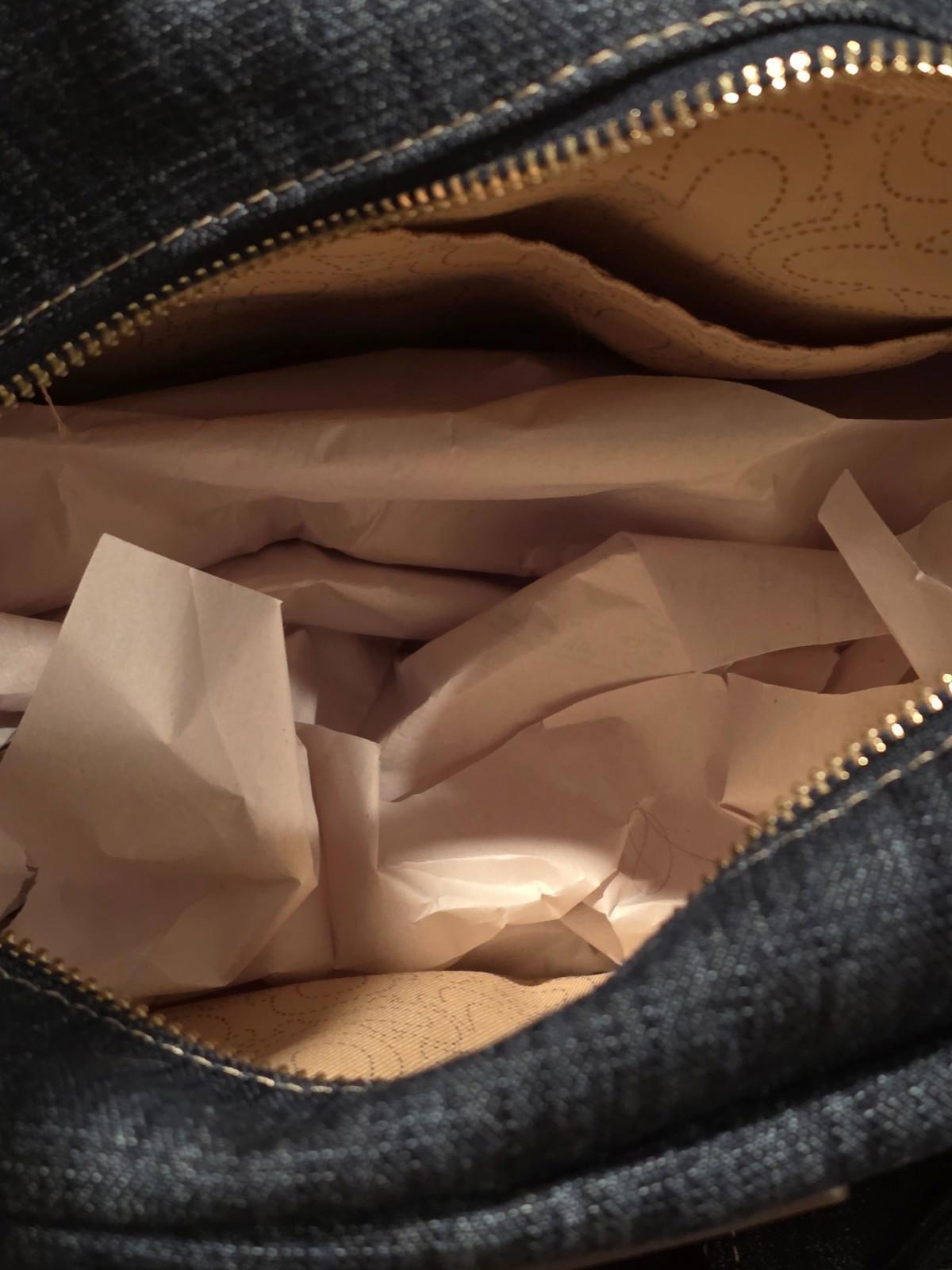 True Religion Denim Viral Bag