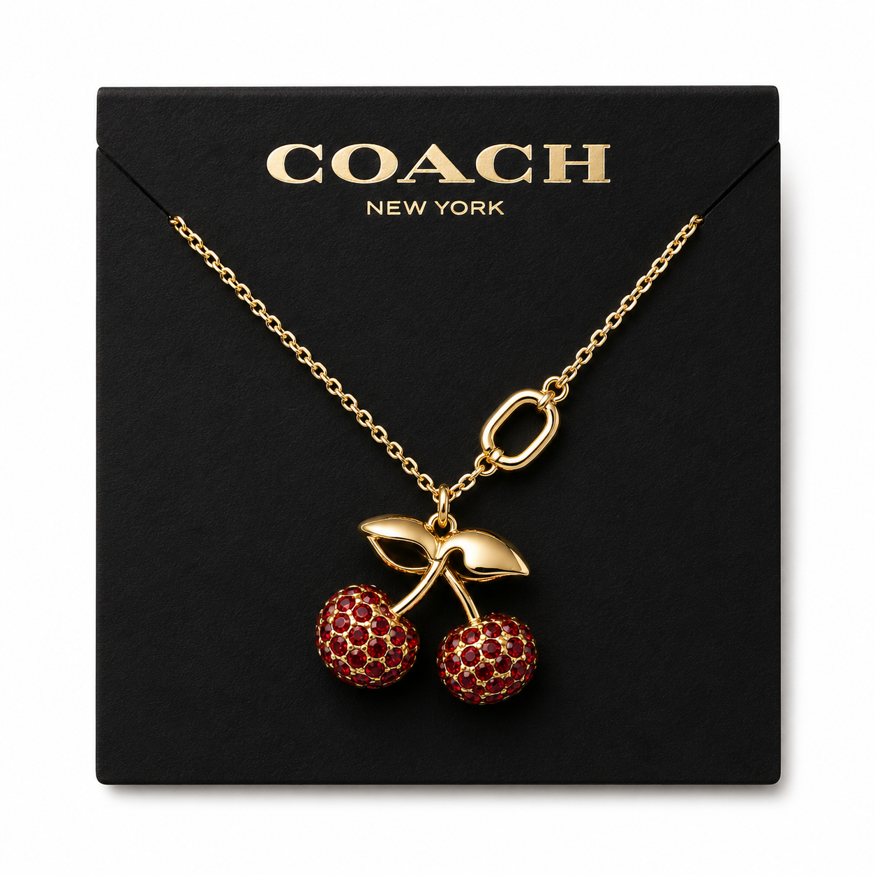 Coach Jewelry