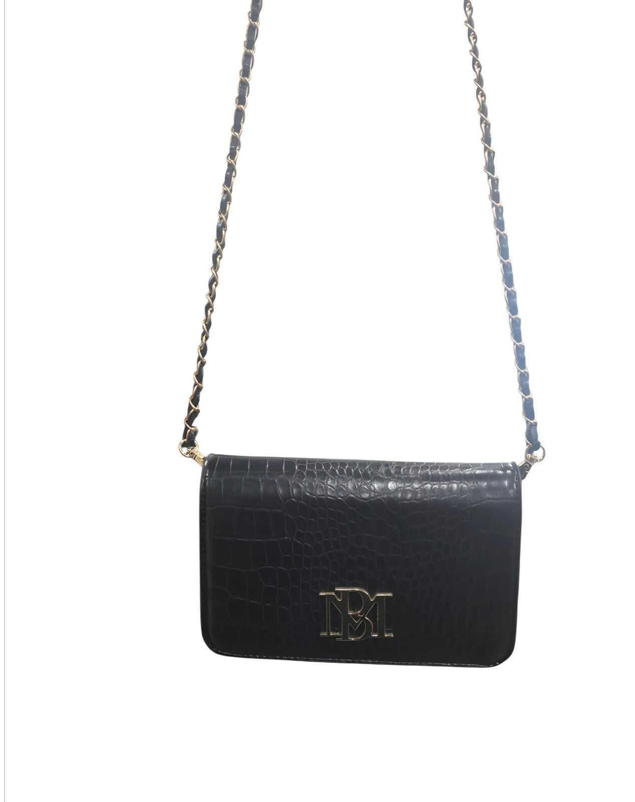 Badgley Mischka Bag
