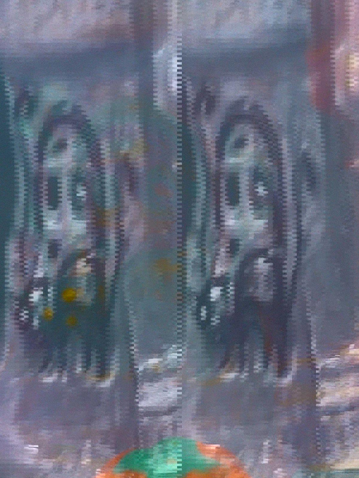 Hello Kitty Halloween Ceramics