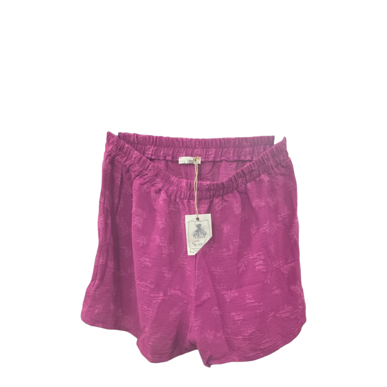 Easel Women's Shorts